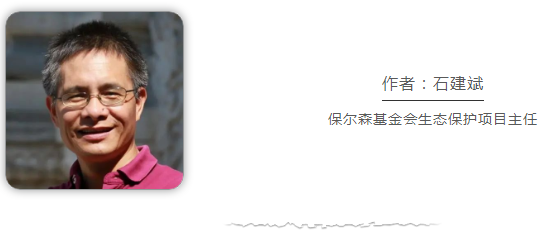 中国是全球湿地保护和合理利用的积极践行者休闲区蓝鸢梦想 - Www.slyday.coM 中国是全球湿地保护和合理利用的积极践行者休闲区蓝鸢梦想 - Www.slyday.coM
