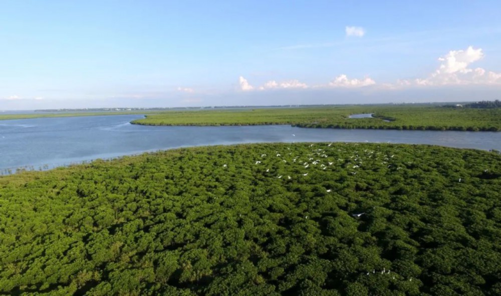 中国是全球湿地保护和合理利用的积极践行者休闲区蓝鸢梦想 - Www.slyday.coM 中国是全球湿地保护和合理利用的积极践行者休闲区蓝鸢梦想 - Www.slyday.coM