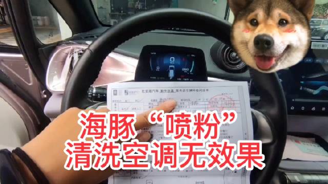 转载网友的视频，海豚“喷粉”车辆，经过4S店……