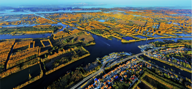 学习贯彻党的二十大精神休闲区蓝鸢梦想 - Www.slyday.coM 学习贯彻党的二十大精神休闲区蓝鸢梦想 - Www.slyday.coM