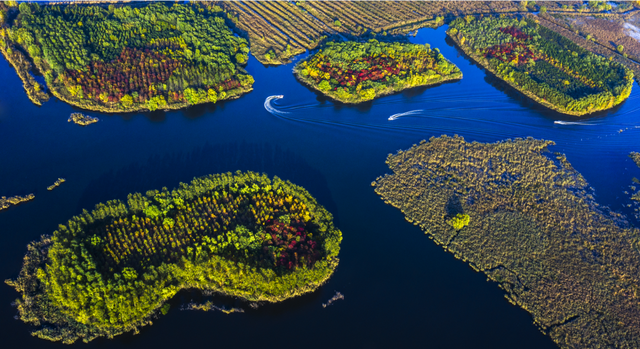学习贯彻党的二十大精神休闲区蓝鸢梦想 - Www.slyday.coM 学习贯彻党的二十大精神休闲区蓝鸢梦想 - Www.slyday.coM