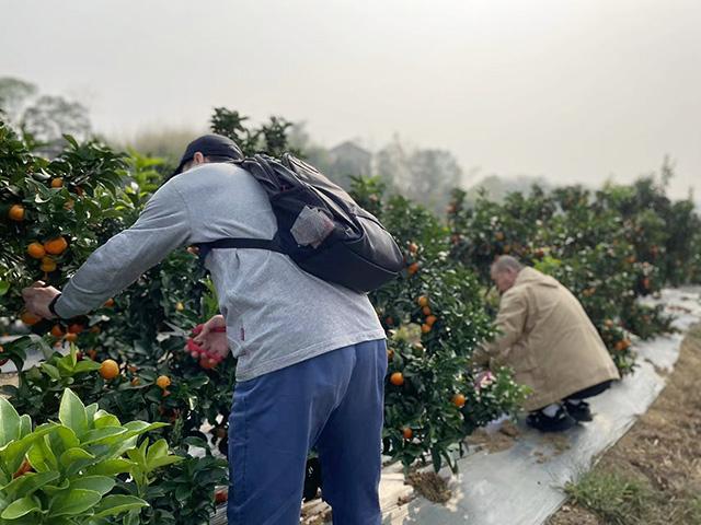 这都可以(湘潭县云湖桥镇古湖村现任干部)湘潭县云湖桥镇古湖村道塘组,(图5) 这都可以(湘潭县云湖桥镇古湖村现任干部)湘潭县云湖桥镇古湖村道塘组,(图5)