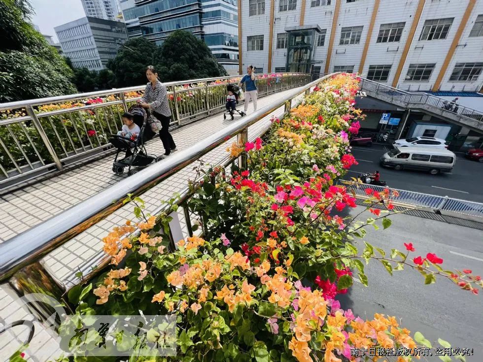 今日立冬,想和你分享我们身边的小美好休闲区蓝鸢梦想 - Www.slyday.coM 今日立冬,想和你分享我们身边的小美好休闲区蓝鸢梦想 - Www.slyday.coM