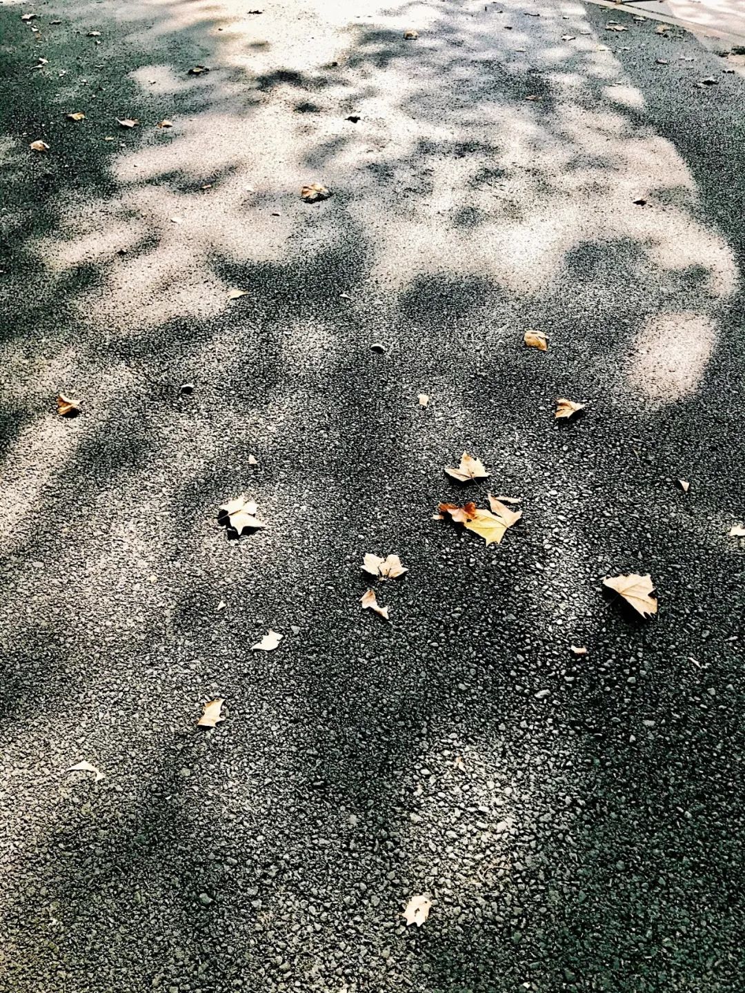 再见,武汉的秋天休闲区蓝鸢梦想 - Www.slyday.coM 再见,武汉的秋天休闲区蓝鸢梦想 - Www.slyday.coM