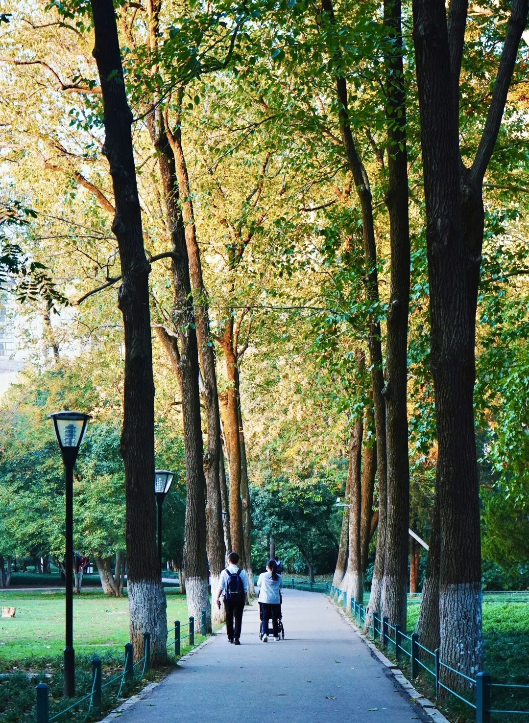 再见,武汉的秋天休闲区蓝鸢梦想 - Www.slyday.coM 再见,武汉的秋天休闲区蓝鸢梦想 - Www.slyday.coM