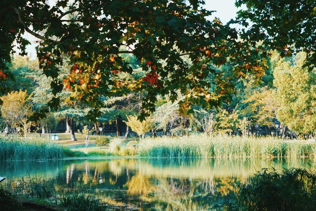 再见,武汉的秋天休闲区蓝鸢梦想 - Www.slyday.coM 再见,武汉的秋天休闲区蓝鸢梦想 - Www.slyday.coM