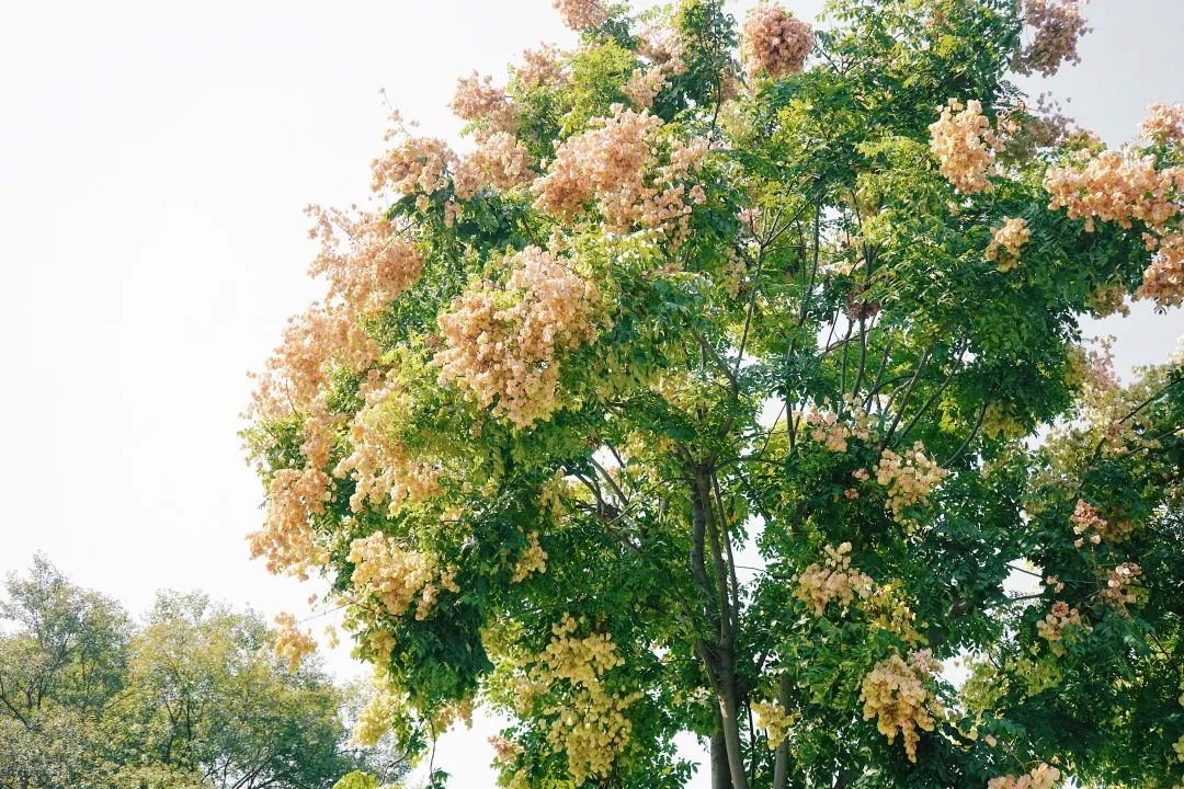 再见,武汉的秋天休闲区蓝鸢梦想 - Www.slyday.coM 再见,武汉的秋天休闲区蓝鸢梦想 - Www.slyday.coM