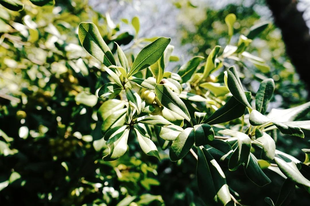 再见,武汉的秋天休闲区蓝鸢梦想 - Www.slyday.coM 再见,武汉的秋天休闲区蓝鸢梦想 - Www.slyday.coM