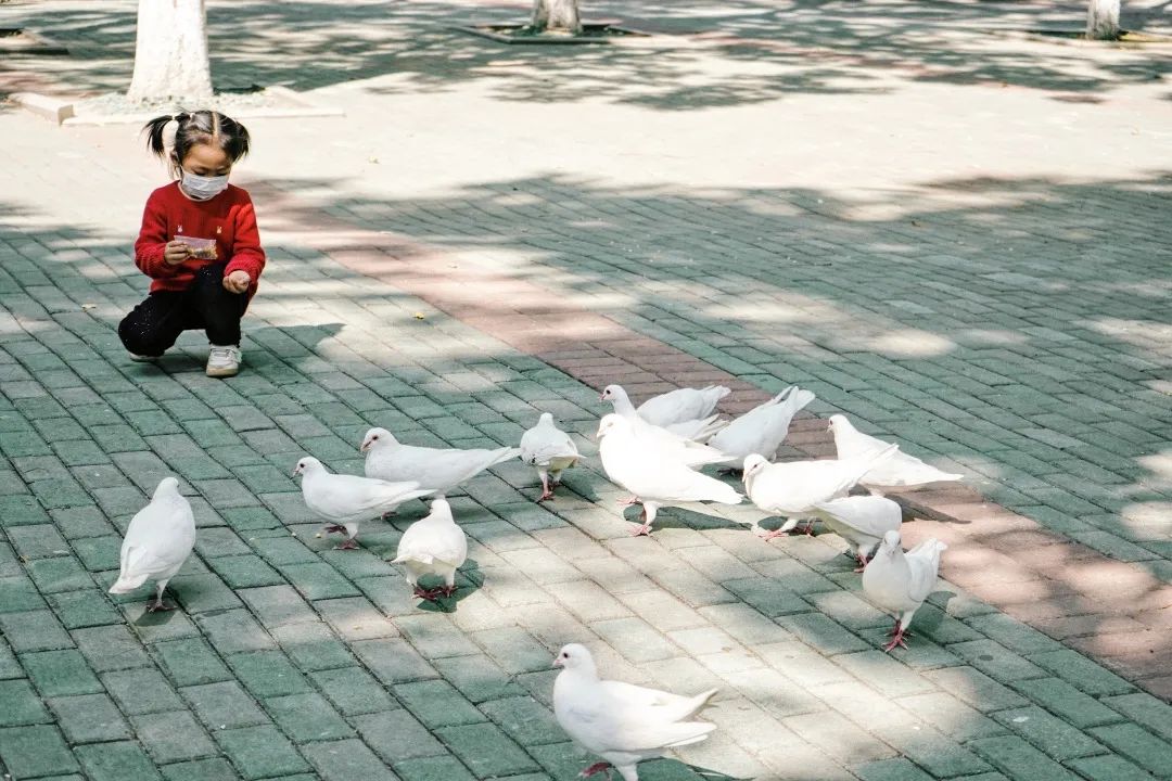 再见,武汉的秋天休闲区蓝鸢梦想 - Www.slyday.coM 再见,武汉的秋天休闲区蓝鸢梦想 - Www.slyday.coM