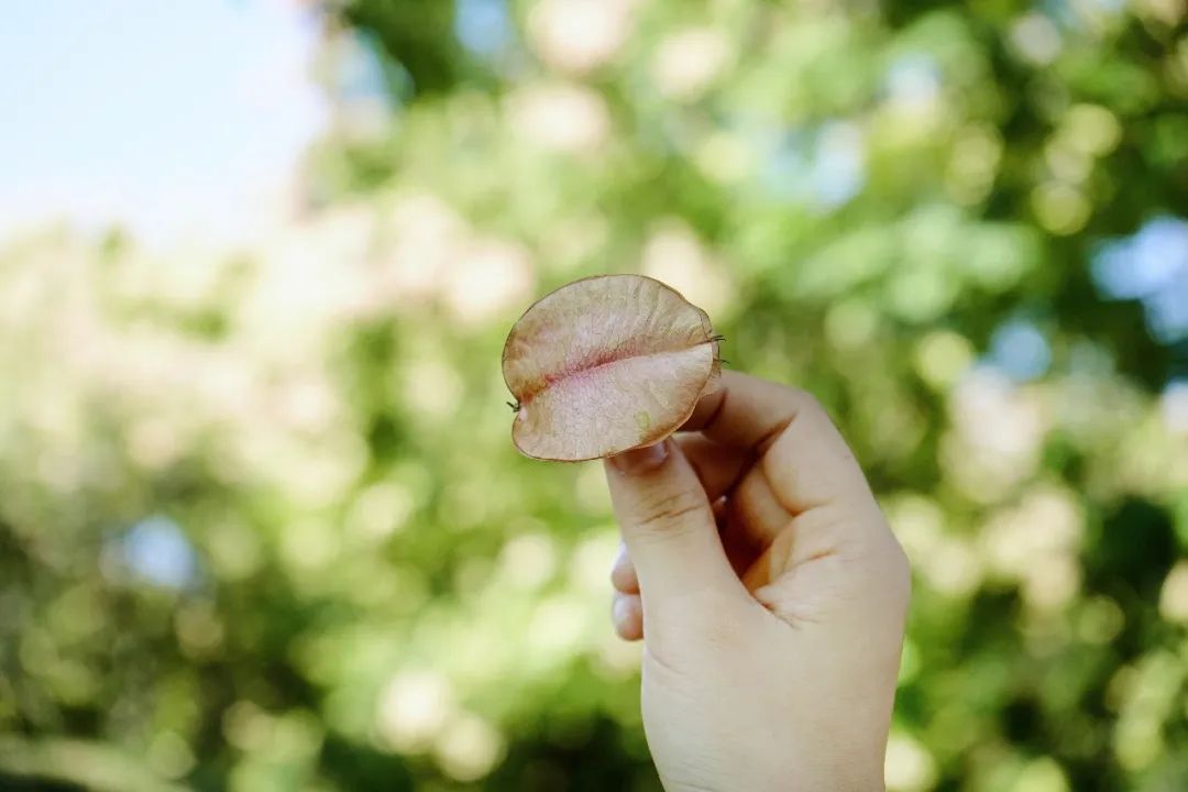 再见,武汉的秋天休闲区蓝鸢梦想 - Www.slyday.coM 再见,武汉的秋天休闲区蓝鸢梦想 - Www.slyday.coM
