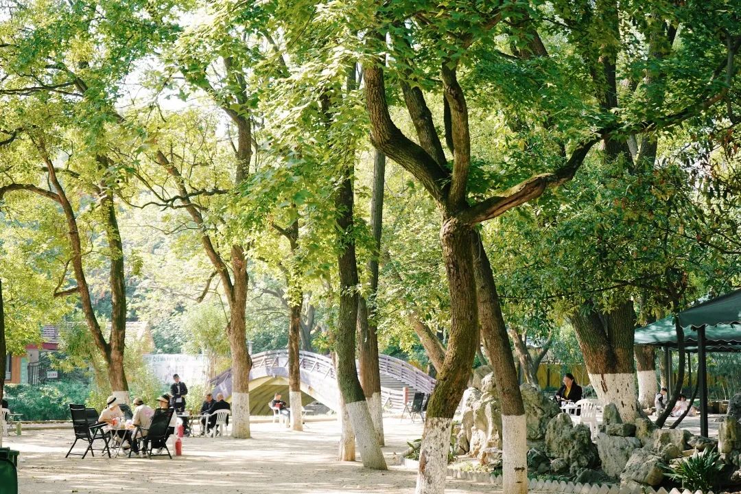 再见,武汉的秋天休闲区蓝鸢梦想 - Www.slyday.coM 再见,武汉的秋天休闲区蓝鸢梦想 - Www.slyday.coM