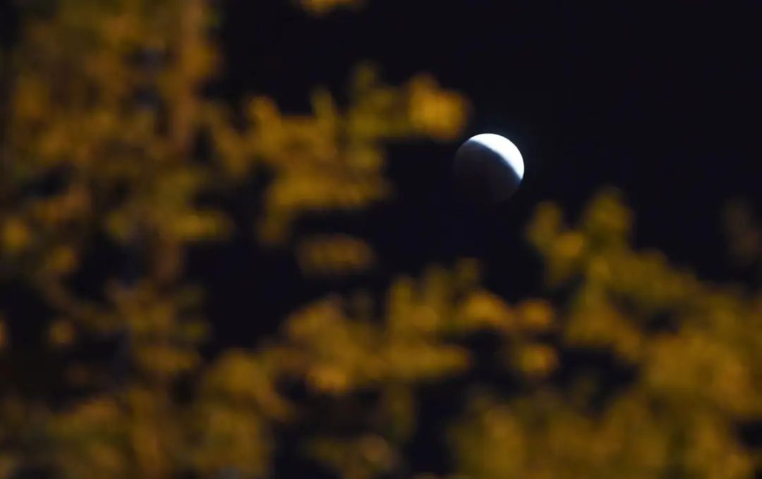 千载难逢!就在刚刚,沈阳人的朋友圈被刷屏!今晚你拍到了吗?休闲区蓝鸢梦想 - Www.slyday.coM 千载难逢!就在刚刚,沈阳人的朋友圈被刷屏!今晚你拍到了吗?休闲区蓝鸢梦想 - Www.slyday.coM