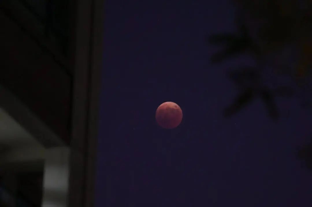 千载难逢!就在刚刚,沈阳人的朋友圈被刷屏!今晚你拍到了吗?休闲区蓝鸢梦想 - Www.slyday.coM 千载难逢!就在刚刚,沈阳人的朋友圈被刷屏!今晚你拍到了吗?休闲区蓝鸢梦想 - Www.slyday.coM