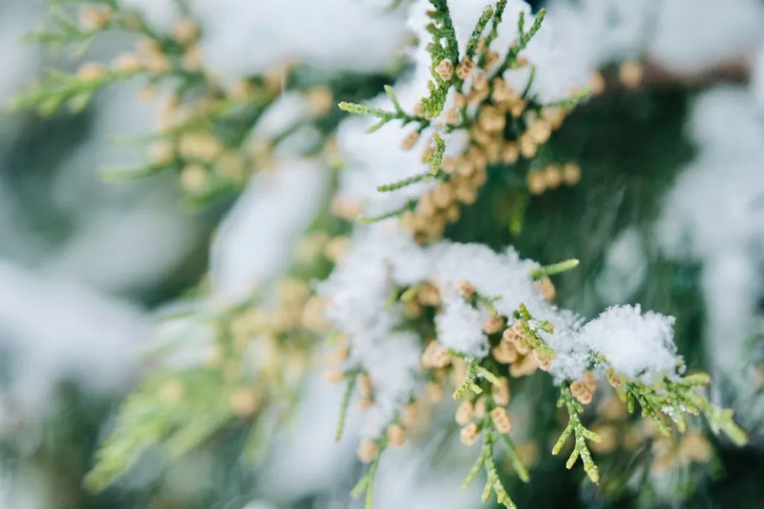 “洋葱式”学起来!“分水岭”快来了!休闲区蓝鸢梦想 - Www.slyday.coM “洋葱式”学起来!“分水岭”快来了!休闲区蓝鸢梦想 - Www.slyday.coM