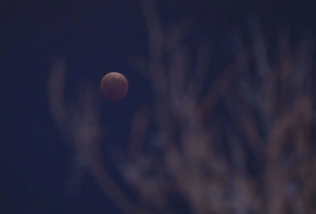 千载难逢!就在刚刚,沈阳人的朋友圈被刷屏!今晚你拍到了吗?休闲区蓝鸢梦想 - Www.slyday.coM 千载难逢!就在刚刚,沈阳人的朋友圈被刷屏!今晚你拍到了吗?休闲区蓝鸢梦想 - Www.slyday.coM