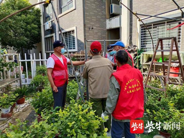 77岁老花农要“退休”了,最后一次给“三花”盖过冬“暖房”休闲区蓝鸢梦想 - Www.slyday.coM 77岁老花农要“退休”了,最后一次给“三花”盖过冬“暖房”休闲区蓝鸢梦想 - Www.slyday.coM