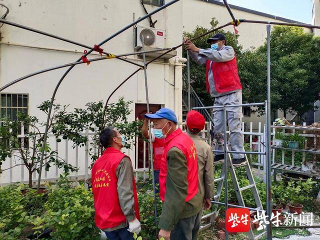 77岁老花农要“退休”了,最后一次给“三花”盖过冬“暖房”休闲区蓝鸢梦想 - Www.slyday.coM 77岁老花农要“退休”了,最后一次给“三花”盖过冬“暖房”休闲区蓝鸢梦想 - Www.slyday.coM