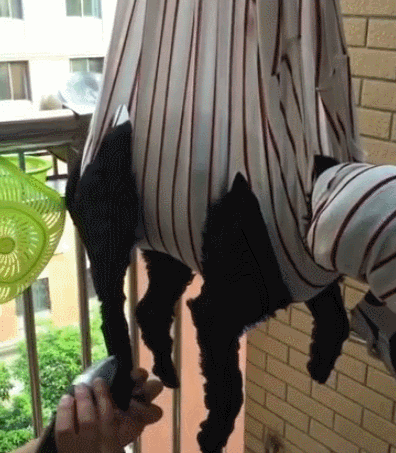 满满干货(吹剪洗是什么意思)洗剪吹里的吹是什么意思,(图18) 满满干货(吹剪洗是什么意思)洗剪吹里的吹是什么意思,(图18)