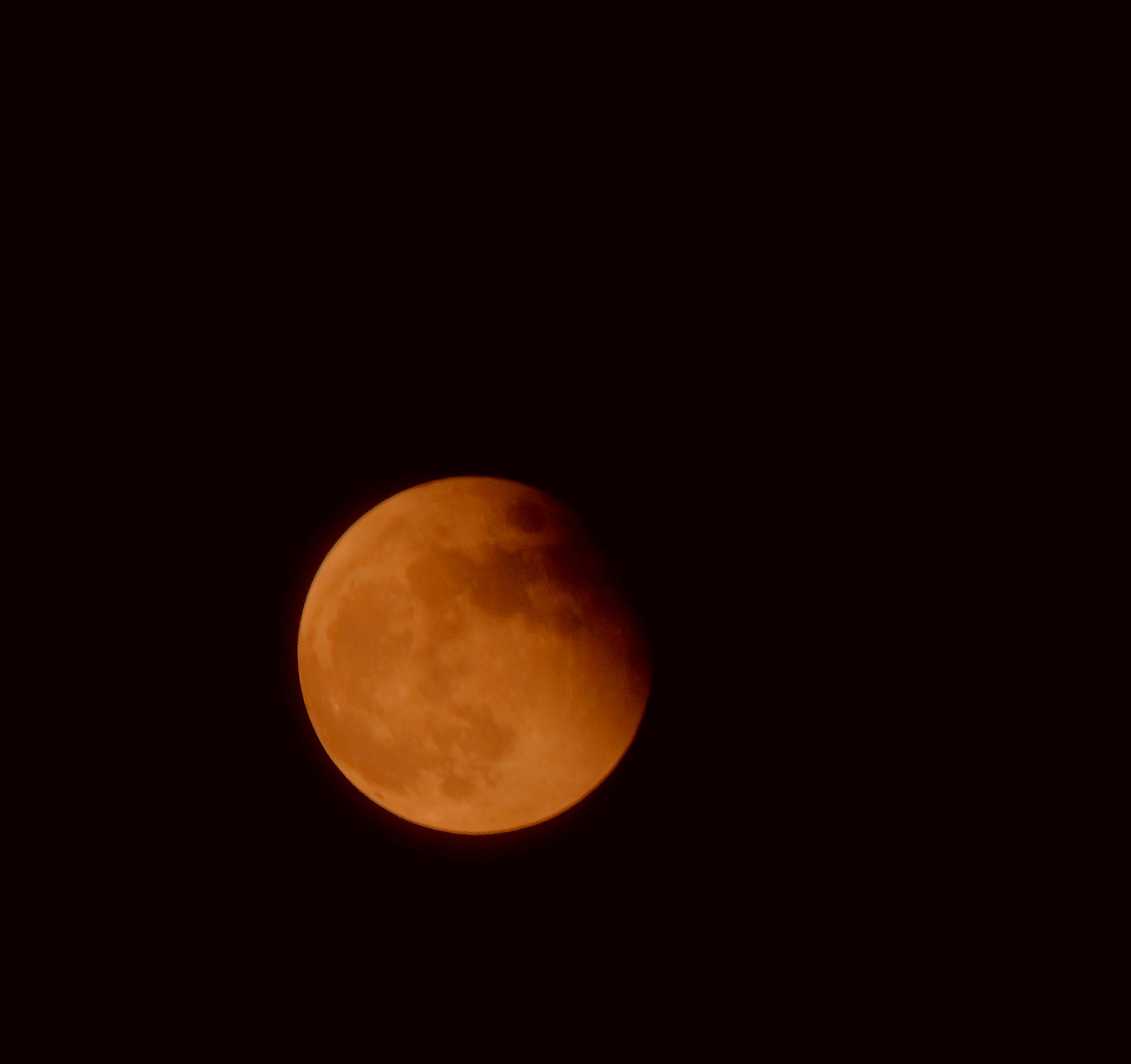 红彤彤月亮爬上来!壹点情报员带你看月全食!唯美又浪漫休闲区蓝鸢梦想 - Www.slyday.coM 红彤彤月亮爬上来!壹点情报员带你看月全食!唯美又浪漫休闲区蓝鸢梦想 - Www.slyday.coM