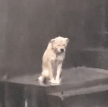 今天记者节,是时候让你们认识一下“我们”→休闲区蓝鸢梦想 - Www.slyday.coM 今天记者节,是时候让你们认识一下“我们”→休闲区蓝鸢梦想 - Www.slyday.coM