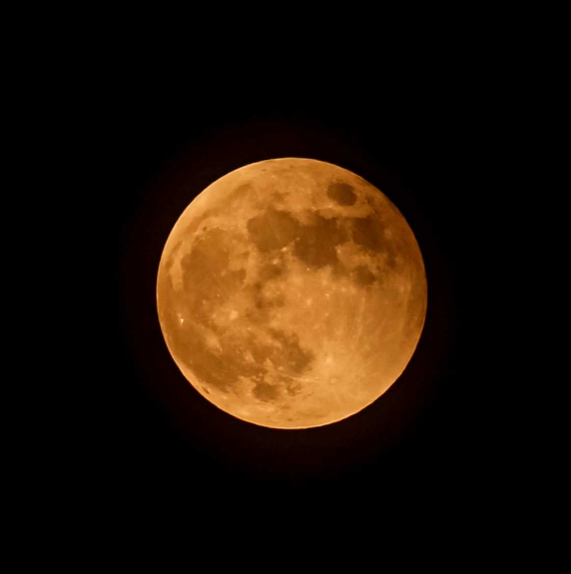 红彤彤月亮爬上来!壹点情报员带你看月全食!唯美又浪漫休闲区蓝鸢梦想 - Www.slyday.coM 红彤彤月亮爬上来!壹点情报员带你看月全食!唯美又浪漫休闲区蓝鸢梦想 - Www.slyday.coM