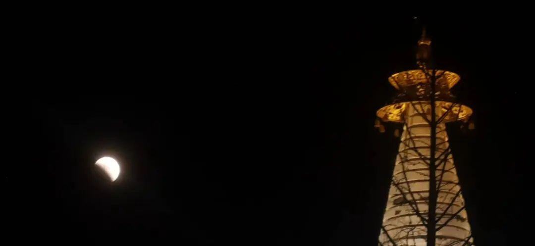 千载难逢!就在刚刚,沈阳人的朋友圈被刷屏!今晚你拍到了吗?休闲区蓝鸢梦想 - Www.slyday.coM 千载难逢!就在刚刚,沈阳人的朋友圈被刷屏!今晚你拍到了吗?休闲区蓝鸢梦想 - Www.slyday.coM