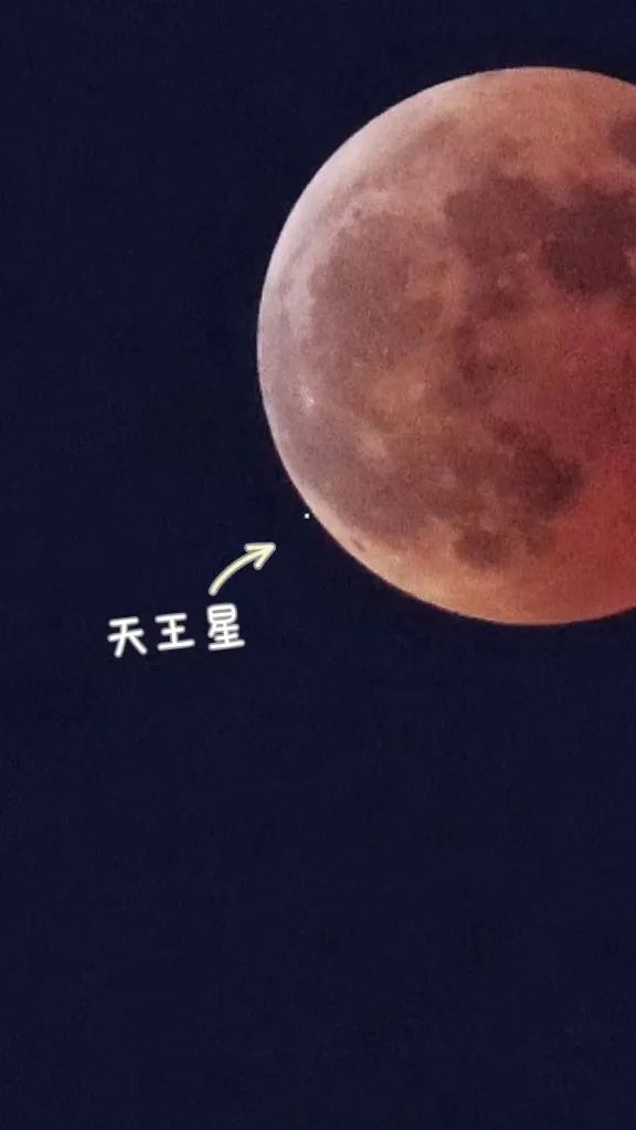 千载难逢!就在刚刚,沈阳人的朋友圈被刷屏!今晚你拍到了吗?休闲区蓝鸢梦想 - Www.slyday.coM 千载难逢!就在刚刚,沈阳人的朋友圈被刷屏!今晚你拍到了吗?休闲区蓝鸢梦想 - Www.slyday.coM