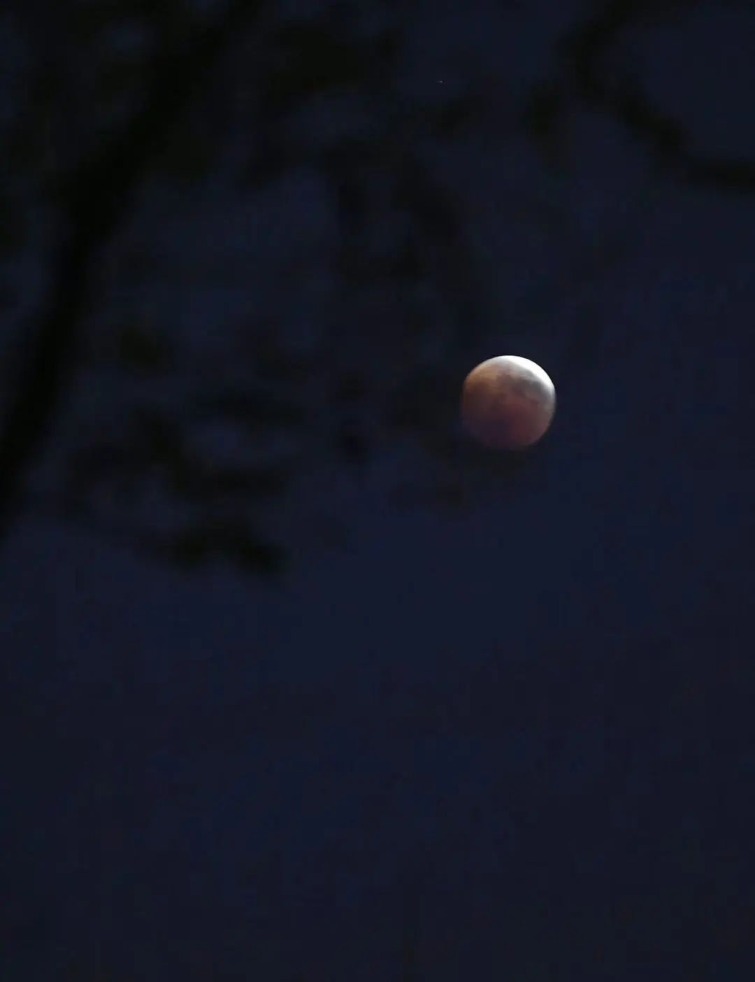 千载难逢!就在刚刚,沈阳人的朋友圈被刷屏!今晚你拍到了吗?休闲区蓝鸢梦想 - Www.slyday.coM 千载难逢!就在刚刚,沈阳人的朋友圈被刷屏!今晚你拍到了吗?休闲区蓝鸢梦想 - Www.slyday.coM