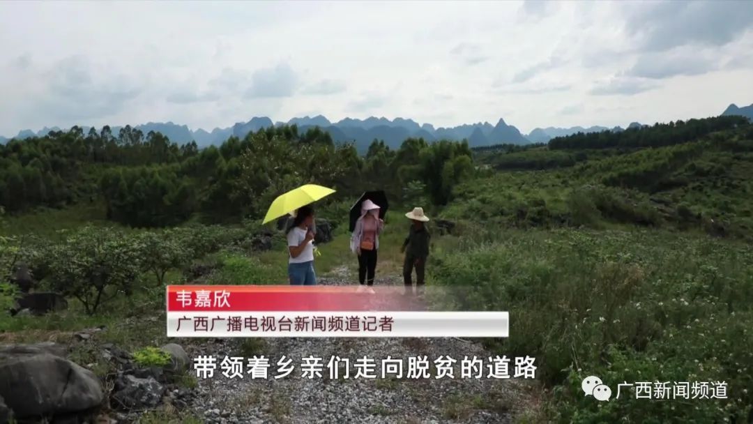 第23个中国记者节,一起来认识一下新闻战线上的三位女将休闲区蓝鸢梦想 - Www.slyday.coM 第23个中国记者节,一起来认识一下新闻战线上的三位女将休闲区蓝鸢梦想 - Www.slyday.coM