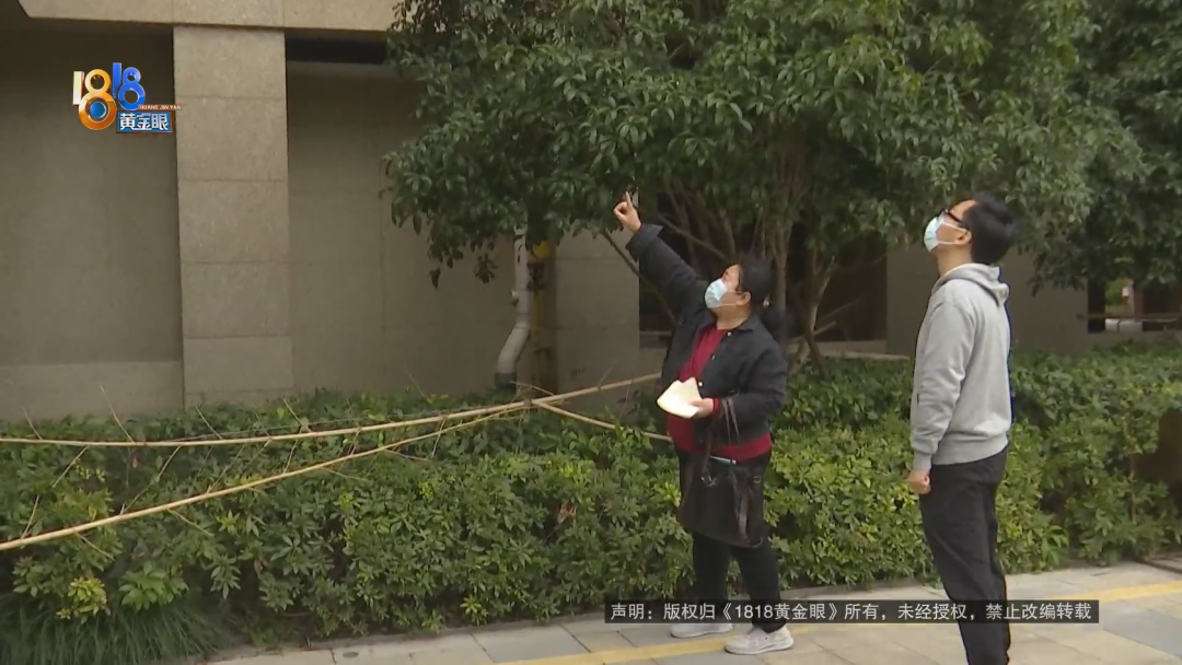 23万的缅因猫从17楼坠亡 保洁阿姨被追责?休闲区蓝鸢梦想 - Www.slyday.coM 23万的缅因猫从17楼坠亡 保洁阿姨被追责?休闲区蓝鸢梦想 - Www.slyday.coM