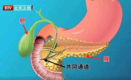 又是“吃出来的疾病”!一次发炎就可能“要命”,比癌症更危急!最近又有人中招了休闲区蓝鸢梦想 - Www.slyday.coM 又是“吃出来的疾病”!一次发炎就可能“要命”,比癌症更危急!最近又有人中招了休闲区蓝鸢梦想 - Www.slyday.coM