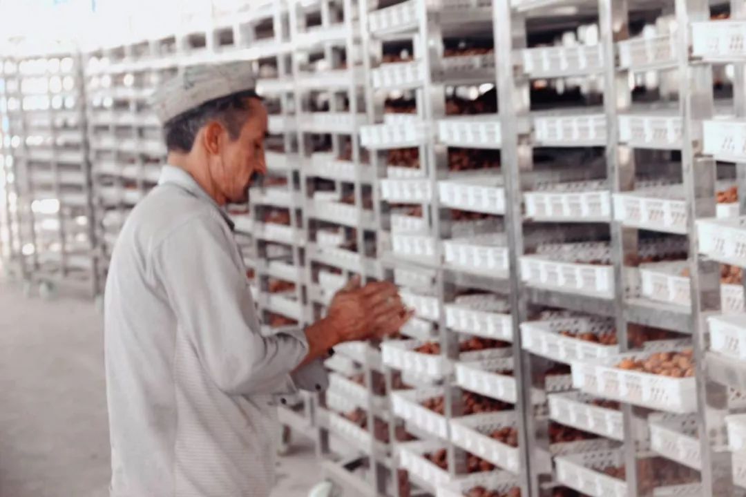 肉厚皮薄,多汁甘甜,怎么会有这么好吃的杏干啊丨种草机休闲区蓝鸢梦想 - Www.slyday.coM 肉厚皮薄,多汁甘甜,怎么会有这么好吃的杏干啊丨种草机休闲区蓝鸢梦想 - Www.slyday.coM