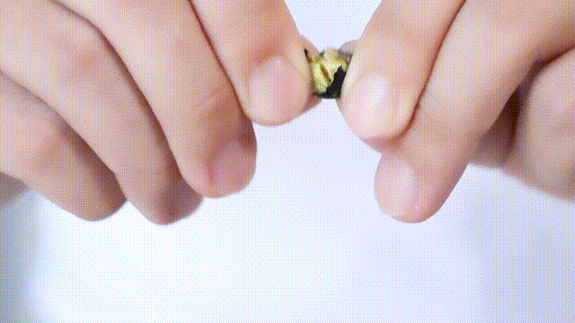 没有科技与狠活!看着不起眼的黑豆,原来藏着这么大的学问!休闲区蓝鸢梦想 - Www.slyday.coM 没有科技与狠活!看着不起眼的黑豆,原来藏着这么大的学问!休闲区蓝鸢梦想 - Www.slyday.coM