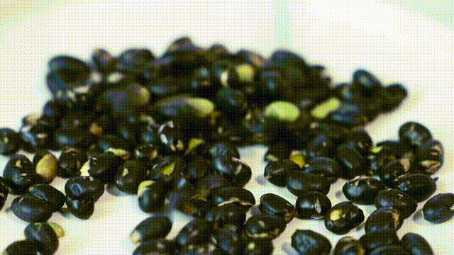 没有科技与狠活!看着不起眼的黑豆,原来藏着这么大的学问!休闲区蓝鸢梦想 - Www.slyday.coM 没有科技与狠活!看着不起眼的黑豆,原来藏着这么大的学问!休闲区蓝鸢梦想 - Www.slyday.coM