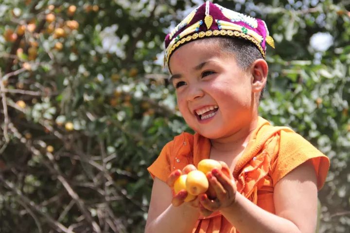 肉厚皮薄,多汁甘甜,怎么会有这么好吃的杏干啊丨种草机休闲区蓝鸢梦想 - Www.slyday.coM 肉厚皮薄,多汁甘甜,怎么会有这么好吃的杏干啊丨种草机休闲区蓝鸢梦想 - Www.slyday.coM