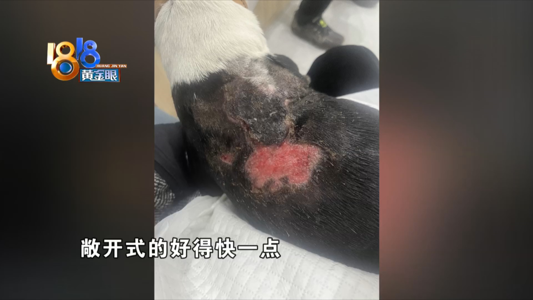 去了表妹实习的地方 现在有些后悔休闲区蓝鸢梦想 - Www.slyday.coM 去了表妹实习的地方 现在有些后悔休闲区蓝鸢梦想 - Www.slyday.coM