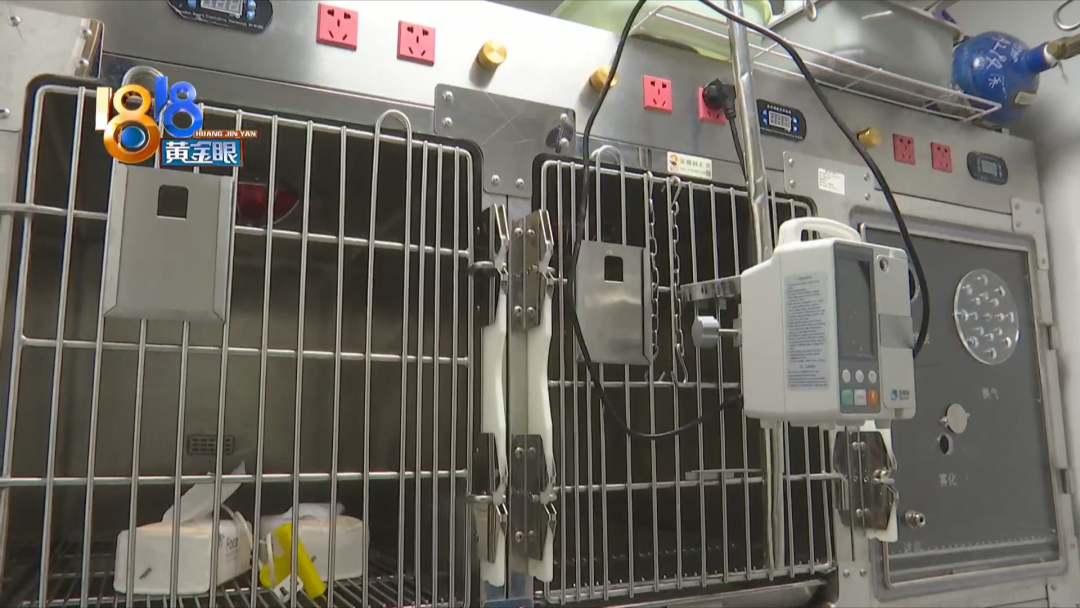 去了表妹实习的地方 现在有些后悔休闲区蓝鸢梦想 - Www.slyday.coM 去了表妹实习的地方 现在有些后悔休闲区蓝鸢梦想 - Www.slyday.coM