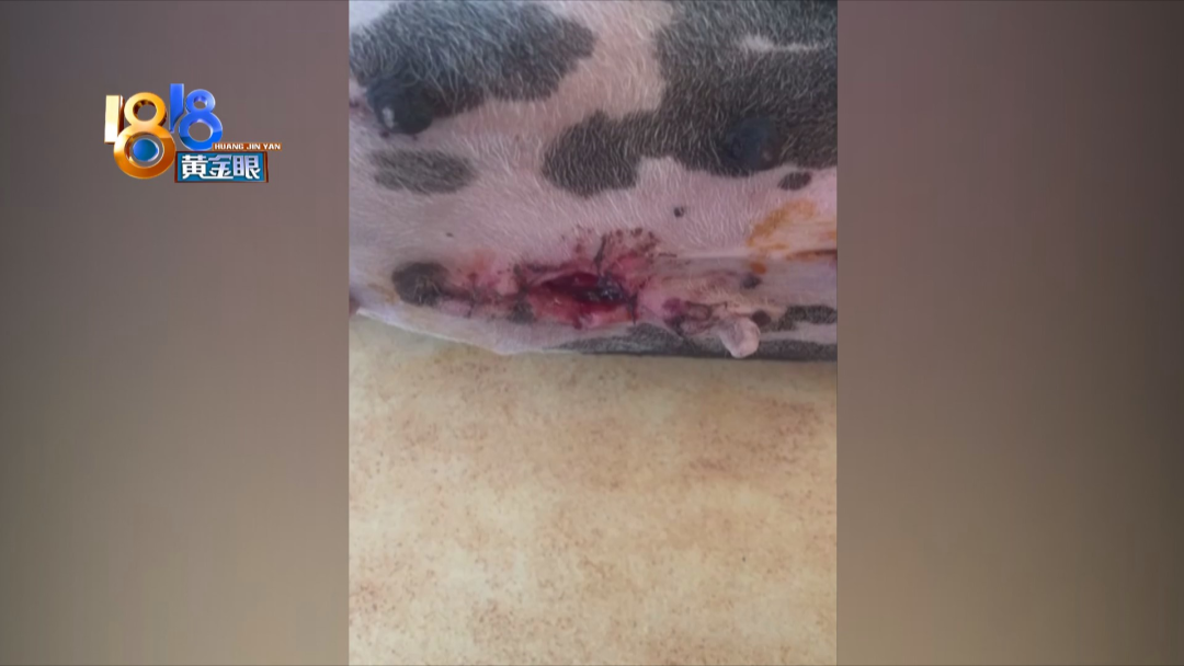 去了表妹实习的地方 现在有些后悔休闲区蓝鸢梦想 - Www.slyday.coM 去了表妹实习的地方 现在有些后悔休闲区蓝鸢梦想 - Www.slyday.coM