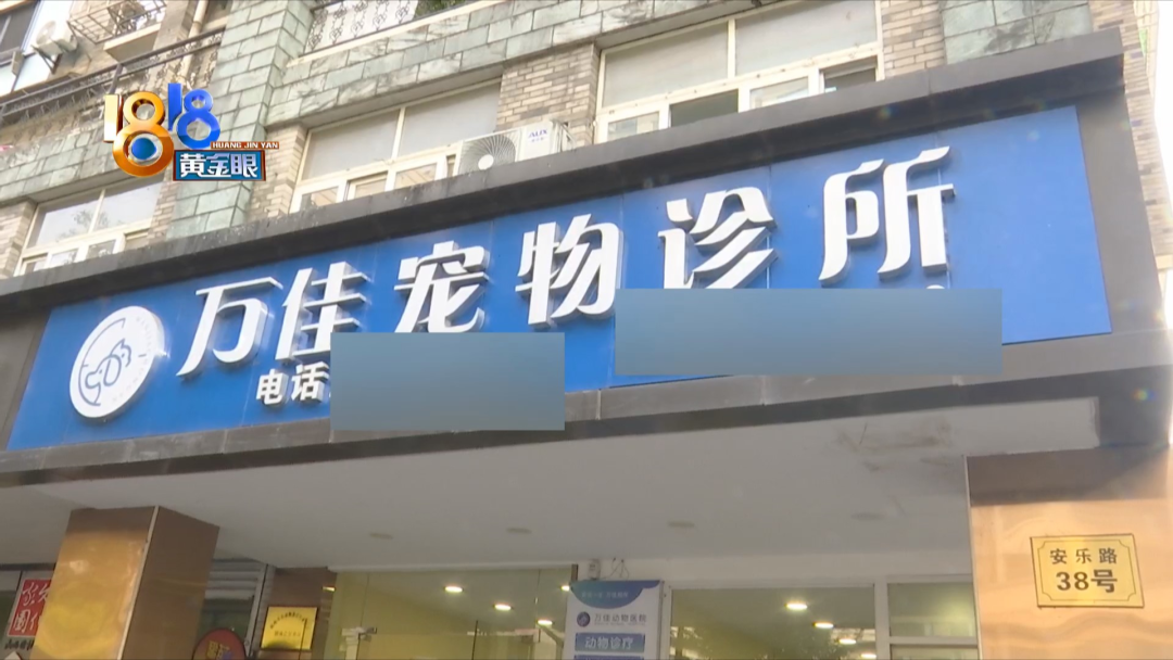 去了表妹实习的地方 现在有些后悔休闲区蓝鸢梦想 - Www.slyday.coM 去了表妹实习的地方 现在有些后悔休闲区蓝鸢梦想 - Www.slyday.coM