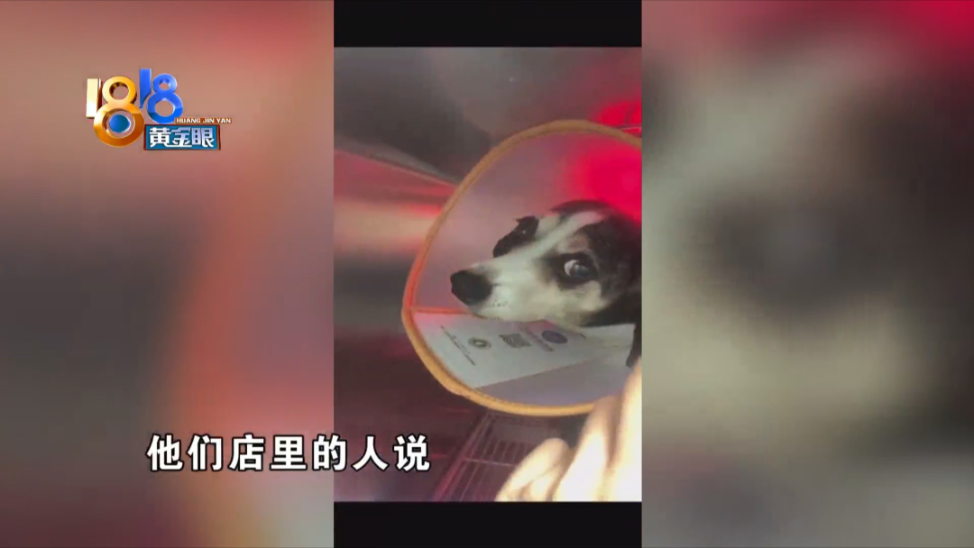 去了表妹实习的地方 现在有些后悔休闲区蓝鸢梦想 - Www.slyday.coM 去了表妹实习的地方 现在有些后悔休闲区蓝鸢梦想 - Www.slyday.coM