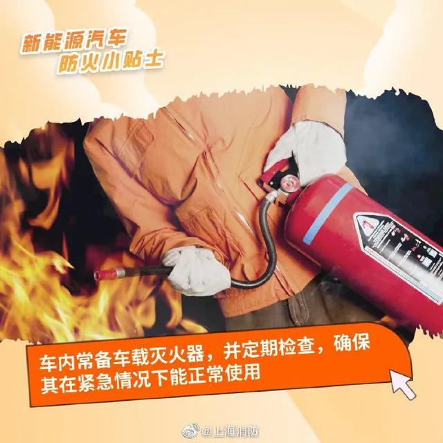 c8d3-81aa11053631bfcbffe855d1dece3e1c.jpg