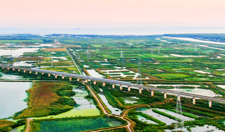 合肥市十八联圩生态湿地景色.新华社发(王世保摄)