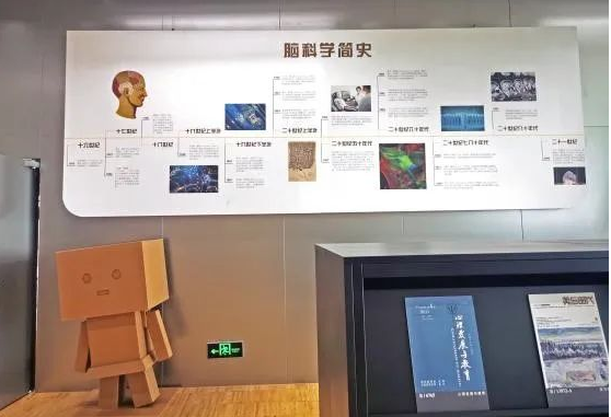 陈天桥成立的研究院开设“追问大脑”展厅 向公众普及脑科学知识