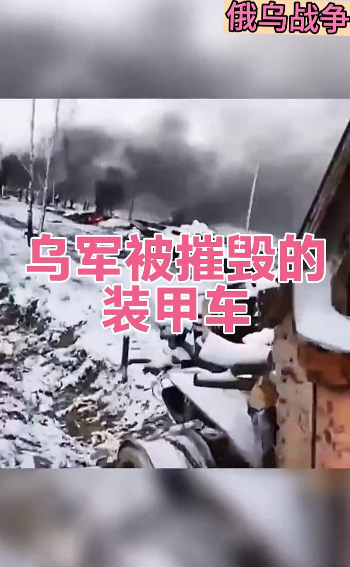 俄乌战争：乌军被摧毁的装甲车|战争|装甲车_新浪新闻