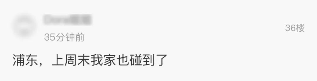 学会了吗(油烟机免费清洗活动骗局)清洗油烟机被骗,(图13) 学会了吗(油烟机免费清洗活动骗局)清洗油烟机被骗,(图13)
