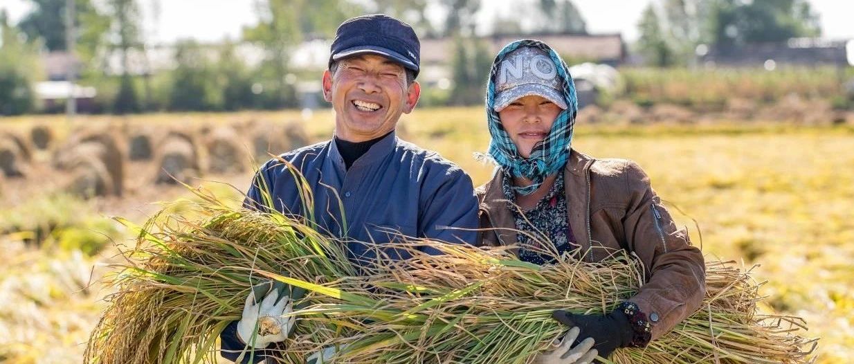农村协办员是什么意思