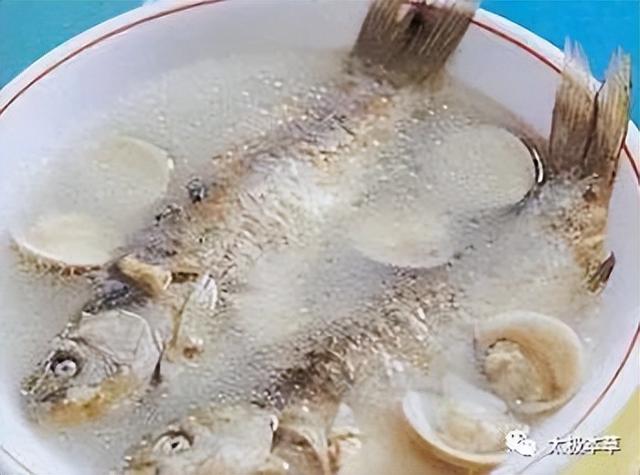 一条鲫鱼,15种吃法,有健脾和胃,通血脉等18种作用休闲区蓝鸢梦想 - Www.slyday.coM 一条鲫鱼,15种吃法,有健脾和胃,通血脉等18种作用休闲区蓝鸢梦想 - Www.slyday.coM