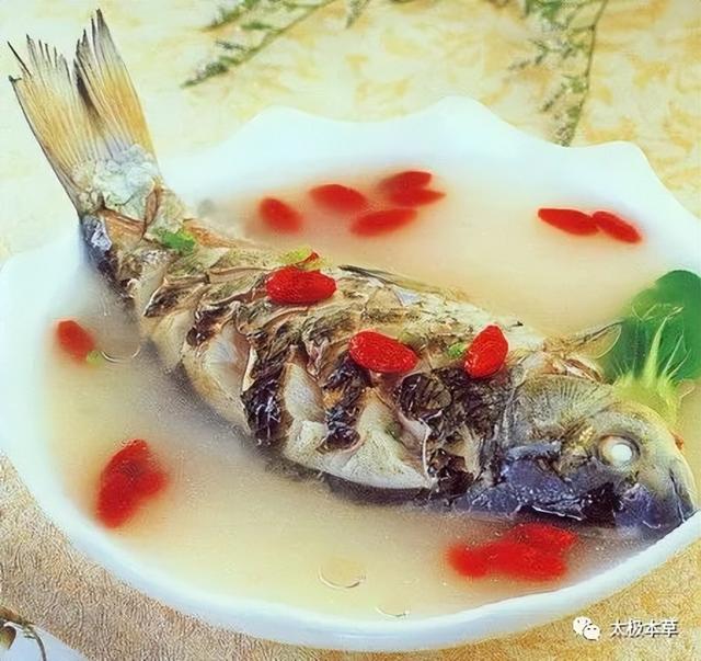 一条鲫鱼,15种吃法,有健脾和胃,通血脉等18种作用休闲区蓝鸢梦想 - Www.slyday.coM 一条鲫鱼,15种吃法,有健脾和胃,通血脉等18种作用休闲区蓝鸢梦想 - Www.slyday.coM