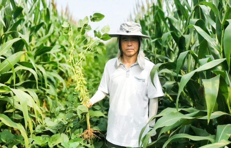 李耕耘和于朦胧什么关系