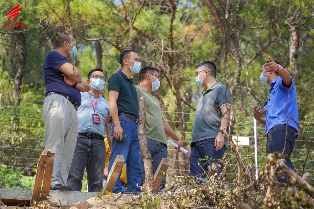 危险又违法！里水一居民焚烧林木违规搭建被拘留